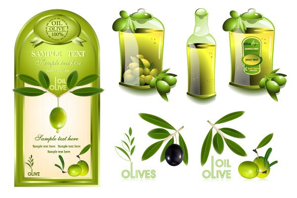 olive oil vector